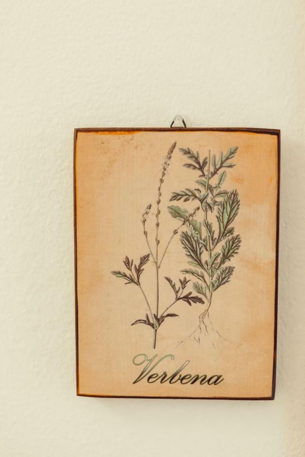 B&B Artemisia Alghero Eksteriør billede