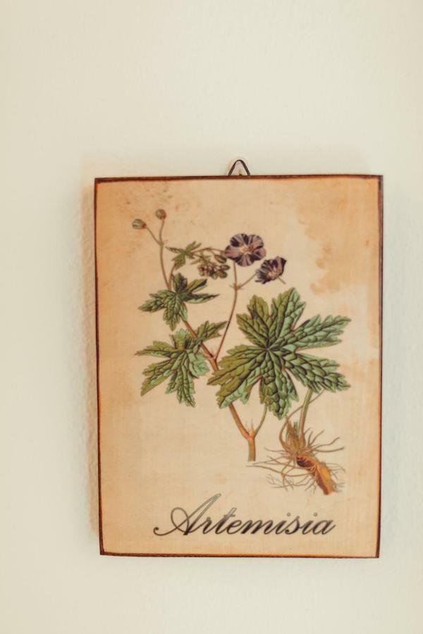 B&B Artemisia Alghero Eksteriør billede